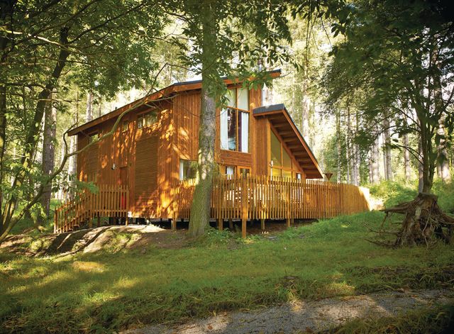 Blackwood Forest Lodges, Micheldever,Hampshire,England